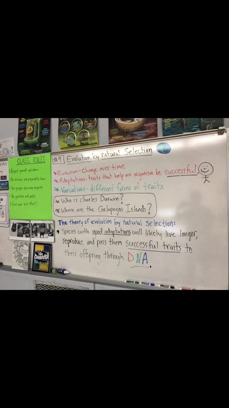 Evolution vocabulary Evolution vocabulary